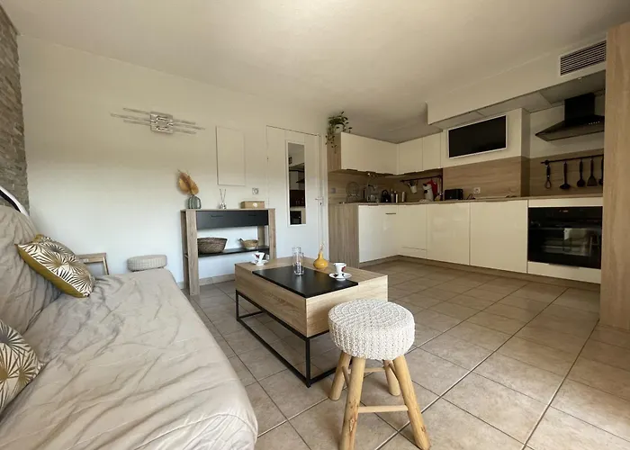 2 Pièces à Avec Garage Et Climatisation - Fr-1-338-548 Appartamento Sète